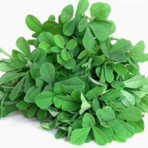 Methi (मेथी)