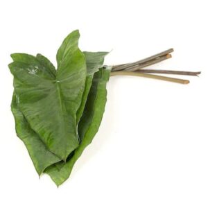 Colocasia Leaves (अरबी के पत्ते)