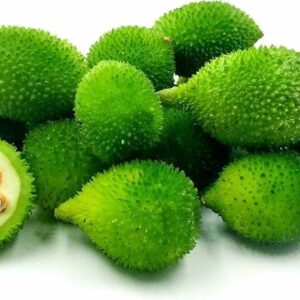 Spiny Gourd (कंटोला / कर्कोटा)