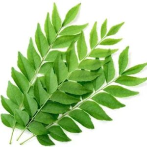 Curry Leaves (कड़ी पत्ता)