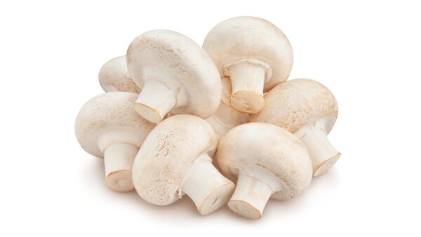 Mushroom – Fresh & Nutritious Superfood