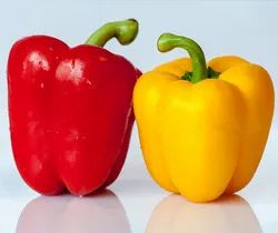 Mix Capsicum (Shimla Mirch) – Colorful & Crunchy Delight