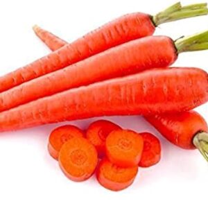 Carrot (गाजर)