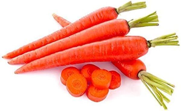 Carrot (गाजर)