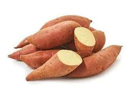 Sweet Potato (शकरकंद)