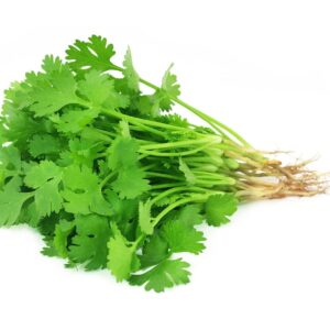 Coriander Leaves (Dhaniya)