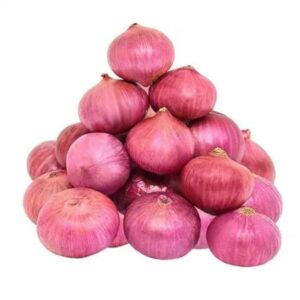 Onion (प्याज़)