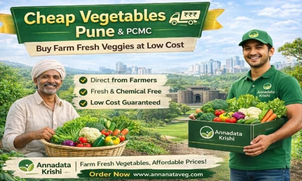 fresh vegetables online Pune PCMC farm delivery Annadata Krishi