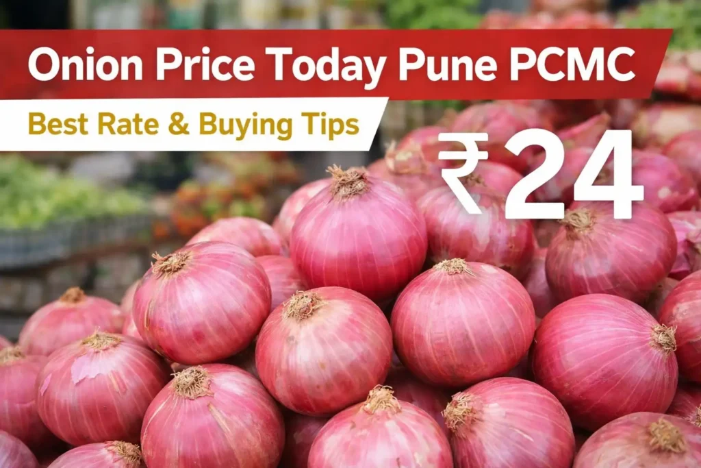 onion price today Pune PCMC fresh kanda